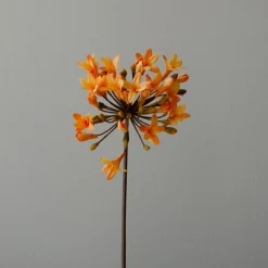 Botané Studios Agapanthus Flower Orange^ Kunstige Blomster