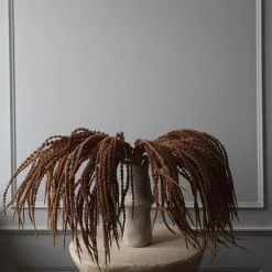 Botané Studios Amaranthus Caudatus 'Dreadlocks' Flower Light Brown^ Kunstige Blomster