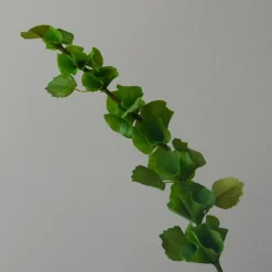 Botané Studios Bells Of Ireland Flower Green^ Kunstige Blomster