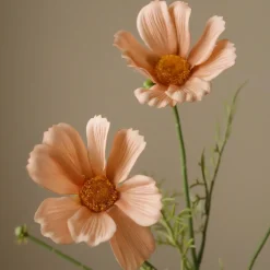 Botané Studios Cosmo Daisy Flower Champagne^ Kunstige Blomster