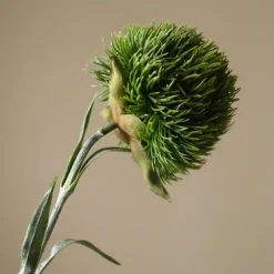 Botané Studios Dianthus Barbatus "Green Ball" Dark Green^ Kunstige Blomster