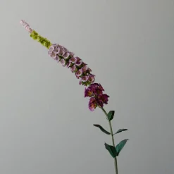 Botané Studios Foxtail Flower Purple^ Kunstige Blomster