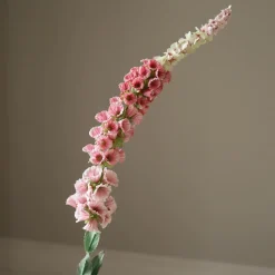 Botané Studios Foxtail Flower Pink^ Kunstige Blomster