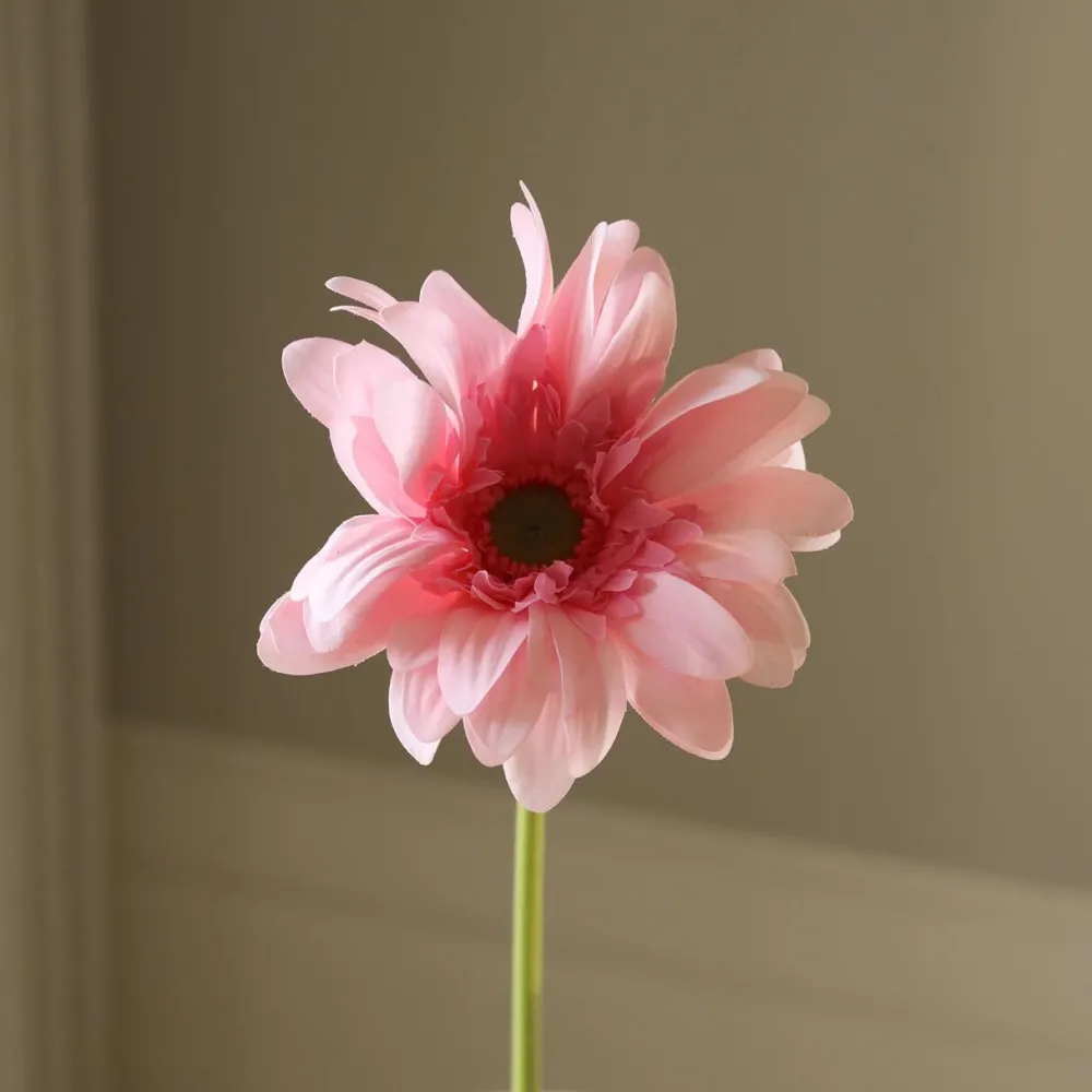 Botané Studios Gerbera Daisy Flower Light Pink^ Kunstige Blomster