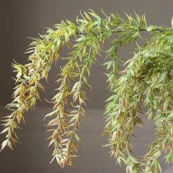 Botané Studios Hanging Branch With Leaves Light Green^ Kunstige Blomster