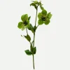 Botané Studios Hellebores Flower Green^ Kunstige Blomster