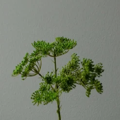 Botané Studios Queen Anne's Lace Flower Green^ Kunstige Blomster