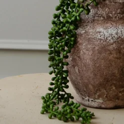 Botané Studios Ruby Necklace Succulent Stem Green^ Kunstige Blomster