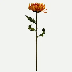 Botané Studios Semi-Cactus Dahlia Flower Orange^ Kunstige Blomster