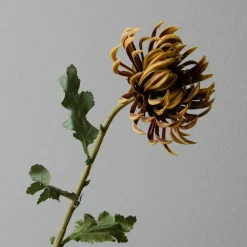 Botané Studios Semi-Cactus Dahlia Flower Brown^ Kunstige Blomster