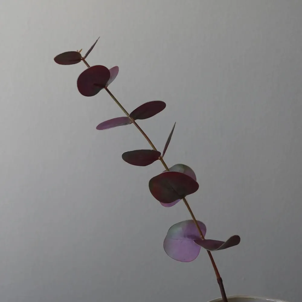 Botané Studios Small Eucalyptus Leave Purple^ Kunstige Blomster