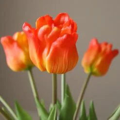 Botané Studios Triumpf Tulip Orange (5 pieces)^ Kunstige Blomster