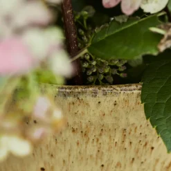 House Doctor Corp Vase Beige^ Vaser