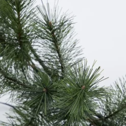 House Doctor Giant Wreath With LED Nature Large^ Julepynt