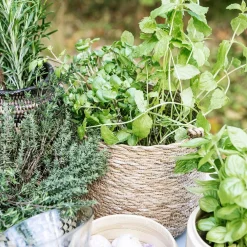 House Doctor Hang Basket Nature^ Kurve