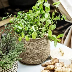 House Doctor Hang Basket Nature^ Kurve