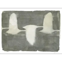 Poster & Frame Swans 30x40 cm^ Illustrationer & Plakater